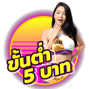 โปรตู้ม้า